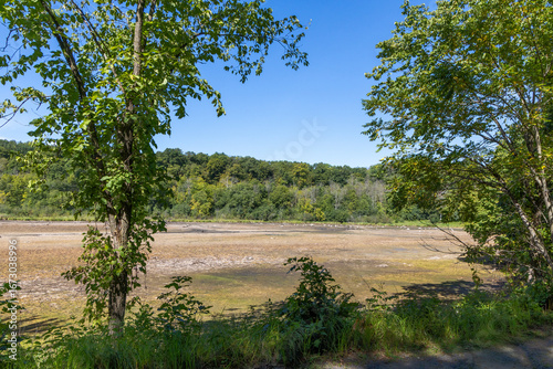 Foto Dried up Lake Alice basin at William O'Brien State Park in Marine on St Croix, M
