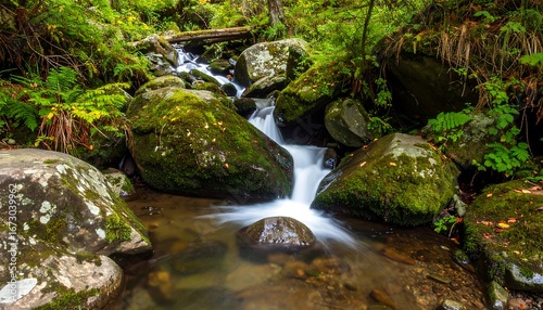 Serene Forest Stream with Moss Covered Rocks and Lush Greenery.