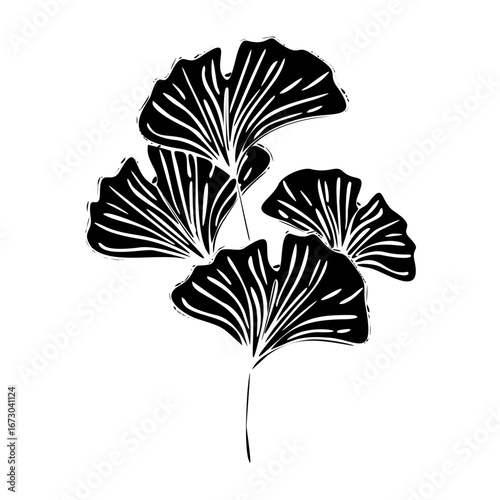 silhouette leaf rare flowers