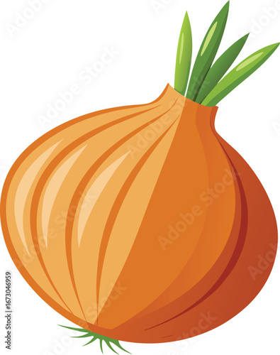 Onion Image With White Background