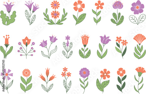 Assorted floral illustrations with orange and purple flower heads
