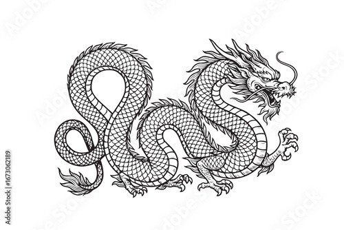 Vector artwork depicting an intricate long dragon, illustrated in elegant black and white style, highlighted with sharp bold black outlines for dramatic effect.