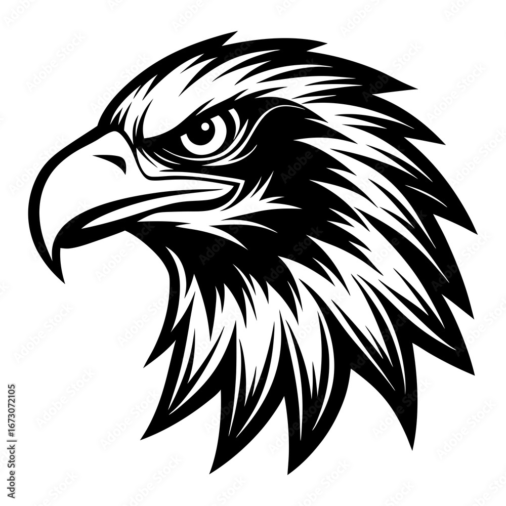 Obraz premium eagle head vector