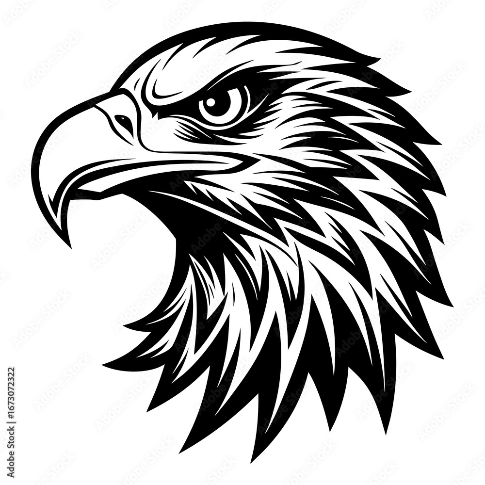 Fototapeta premium eagle head vector