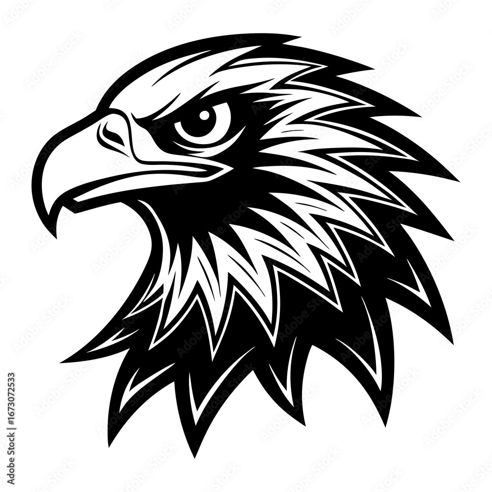 Fototapeta premium eagle head vector
