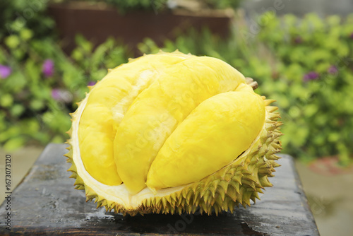 Tableau sur toile Fresh Golden Durian Fruit Open Shell Seeds Thailand Tropical Exotic Food