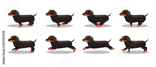 Dachshund Running Side Cartoon Animation Frame Vector