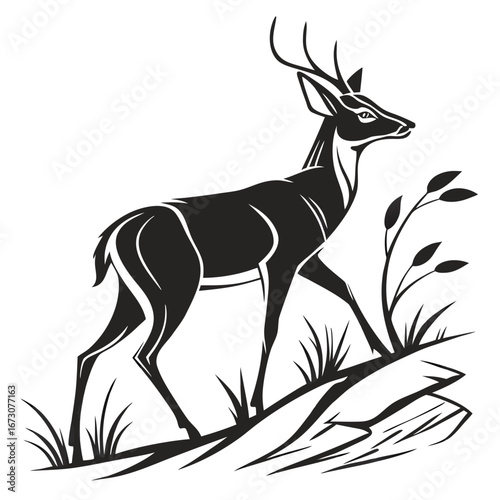 Black and White Illustration of a Deer Walking on Rocky Ground with Grass stag graphic