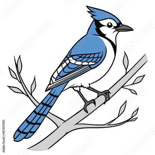 Detailed illustration of a blue jay sitting on a tree branch bird perched