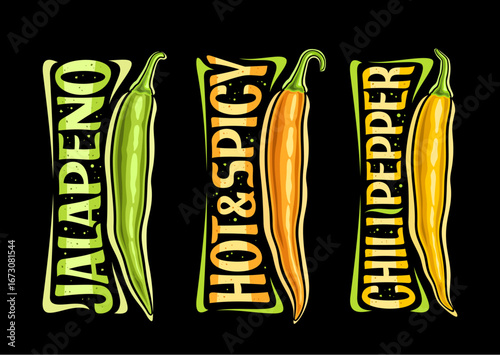 Vector Chili Pepper Set
