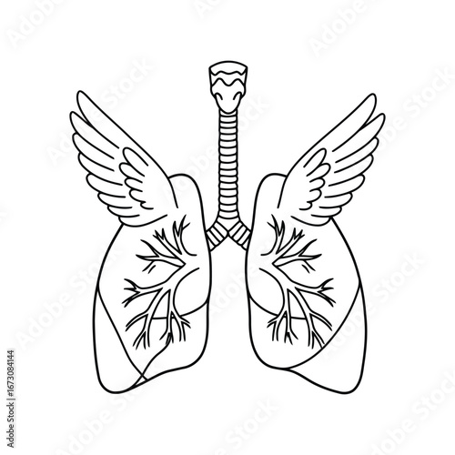 Artistic representation of human lungs as wings symbolizing freedom and respiration health concept vector