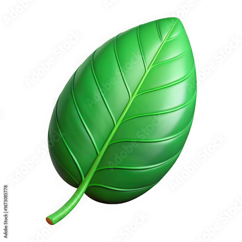 Close up of a single vibrant green leaf with detailed veins and a smooth texture