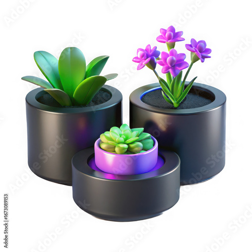 Three potted plants including succulents and a flowering plant in dark contemporary planters