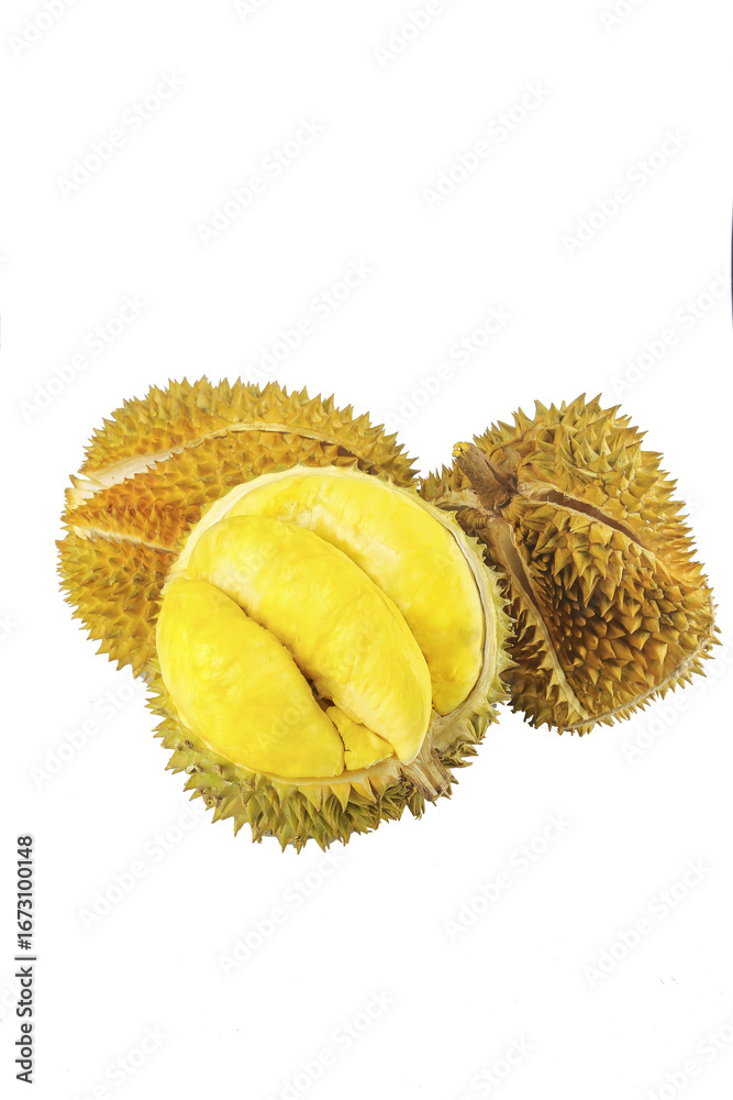 Obraz premium Fresh Thai Durian Fruit with Golden Yellow Flesh on White Background