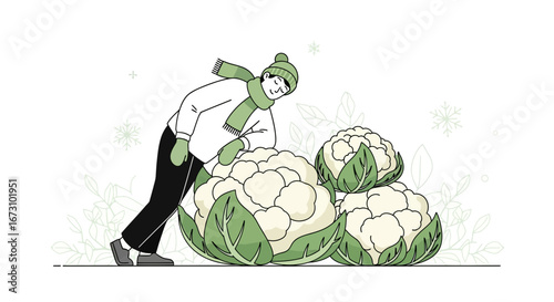 Man Admiring Cauliflower Harvest in Winter Attire for Fresh Produce Marketing