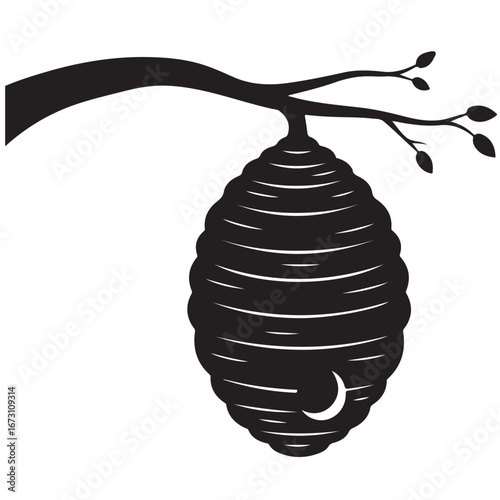 Wasp Nest Hanging from Tree Branch