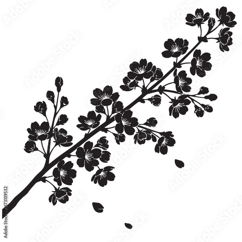 Cherry Blossom Branch Silhouette
