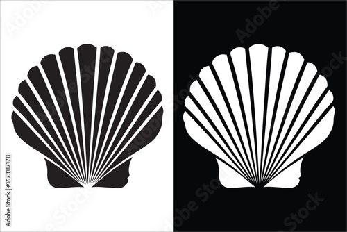 Monochrome Scallop Shells with Contrasting Design on a Divided Background