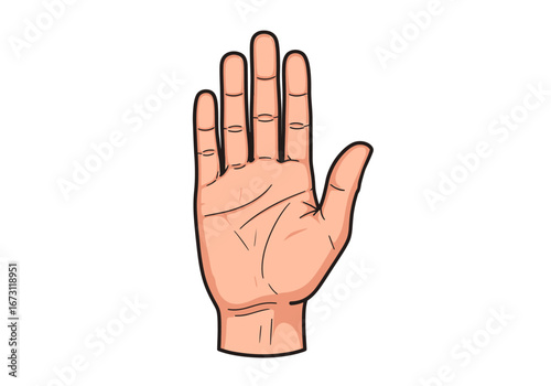 Human hand with palm facing forward is ideal for business presentations, medical brochures, communication concepts, and educational materials.