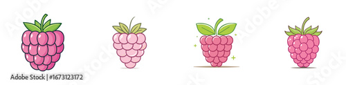 Raspberry vector icon collection with clean lines and modern minimal style.