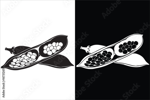 Open Pea Pods with Peas, Monochrome Vector Illustration