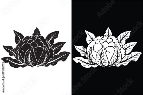 Monochrome Cauliflower Vegetable Illustration with Inverted Colors