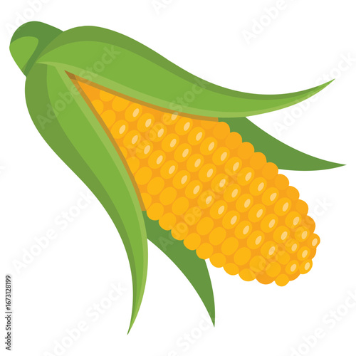 Flat vector corn icon isolated on white background. Perfect for farm, organic, eco, and vegetable themed illustrations or educational visuals.