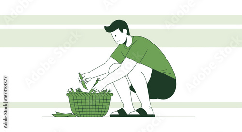 Man Harvesting Fresh Vegetables Into Basket in a Simplified Stylized Illustration