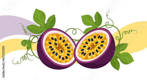 Passion Fruit Illustration Shows Detail Of Fruit Slice, Leaves, And Delicate Vines