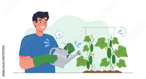 Man Watering Cucumber Plants In Garden Agriculture And Farming Growing Healthy Produce