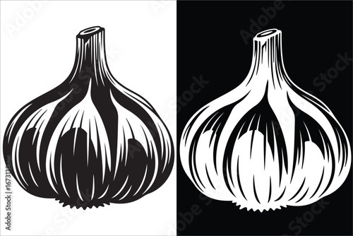 Monochrome Garlic Bulb Duo in Contrasting Black and White Illustration