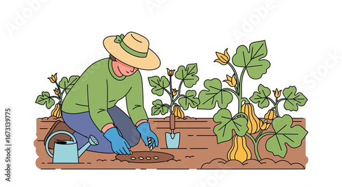 Person Planting Seeds in Garden Amidst Pumpkins and Lush Foliage, Cultivating Food