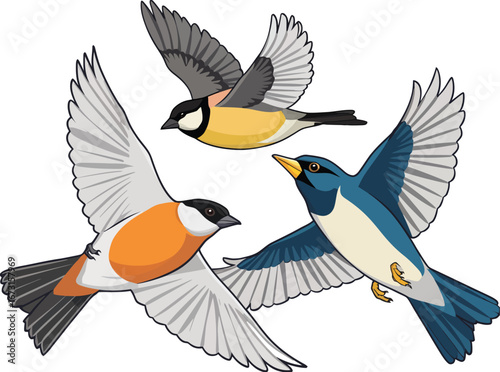 Set of three beautifully illustrated songbirds flying together. A colorful flat vector design collection featuring common wild birds for nature-themed projects