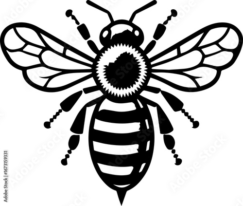 Illustration of a black and white honeybee with detailed wings and striped abdomen in vector format
