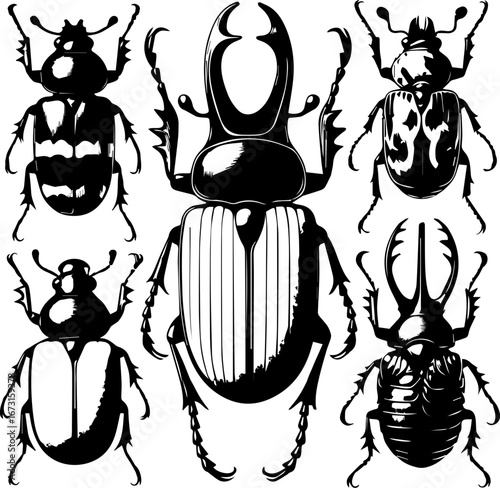 A collection of six detailed black and white beetle illustrations with varied shapes and sizes shown