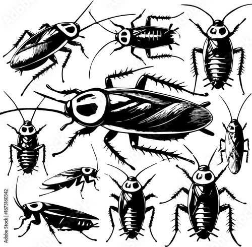 Detailed monochrome illustration showcasing a multitude of cockroaches in varying poses and sizes
