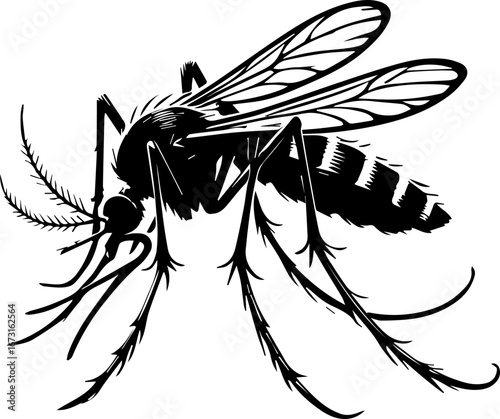 Detailed black and white illustration of a mosquito with wings and legs visible clearly shown