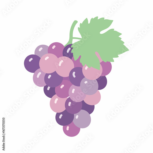 Bunch of Grapes with Leaf Purple Pink and Lavender Tones Round Shape.