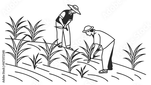 Two farmers cultivating crops in a field, agricultural work and manual labor illustration