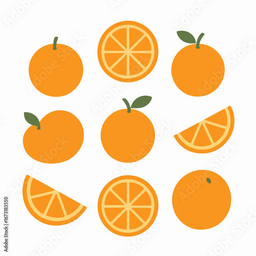 Orange fruit illustration with slices and whole fruits