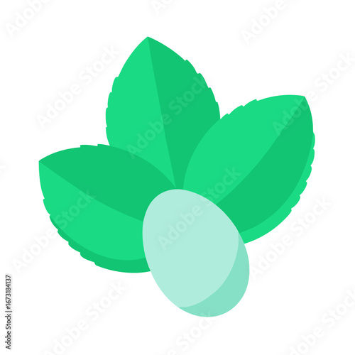 Green leaves spearmint for fresh breathing vector on white background.