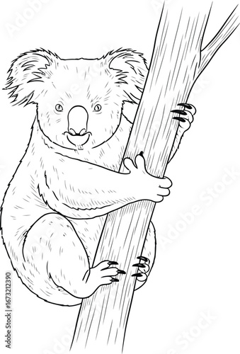 Koala clinging to a tree branch in black and white drawing