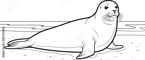 Illustration of a seal resting on the beach in black lines