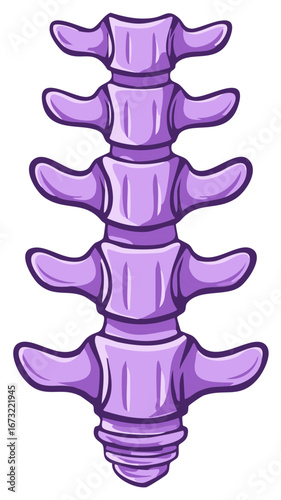 Cartoon illustration of a human spinal column segment showing purple vertebrae.
