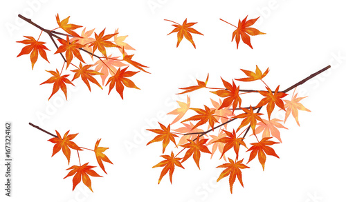 Fototapeta 紅葉の枝 水彩風 濃淡あり