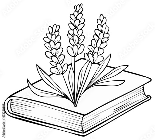 Line art illustration of lavender blossoms lying on an open book