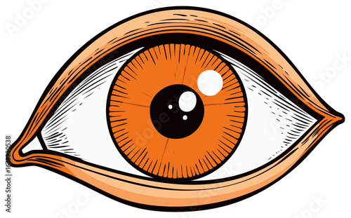 Stylized Orange Human Eye with Intricate Detail Bold Lines and Expressive Gaze Captivating Vector Illustration Detailed Anatomical Artwork