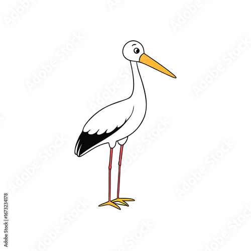 stork standing on white background.eps