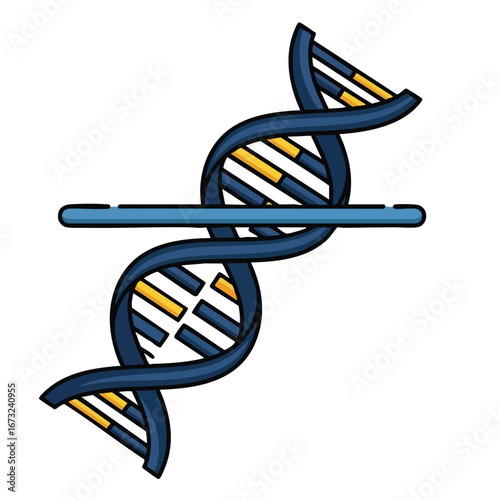 Double Helix DNA Structure Diagram.