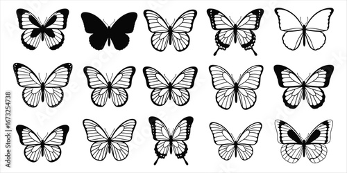Assortment of Butterfly Silhouettes and Outlines on White insect flying